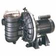 Pompe piscine STA RITE 5P2R de 1.5 CV sp&eacute;cial sel - star-rite