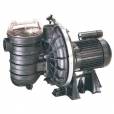 Pompe piscine STA RITE 5P2R de 3/4 CV sp&eacute;cial sel - star-rite