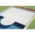 Volet immerg&eacute; piscine coffre sec ECA - ECA