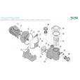 STARITE Pompe 5P4R / 5P6R