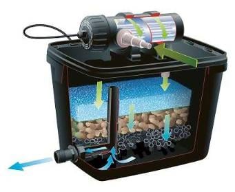 système de filtration pour bassin de jardin