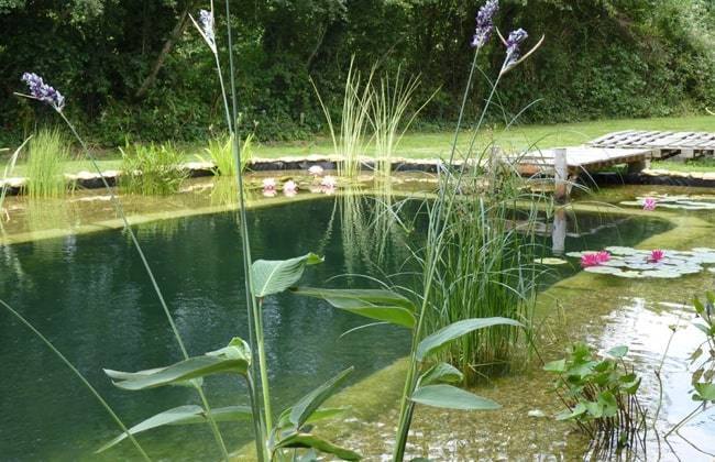 Comment construire une piscine écologique avec filtration naturelle