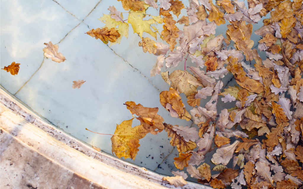 proteger-piscine-feuilles-mortes-automne