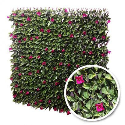 Treillis extensible Bougainvilliers - Distripool