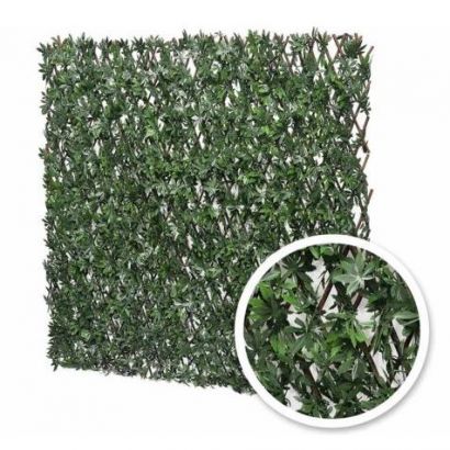 Treillis extensible Vigne Vierge  - Distripool