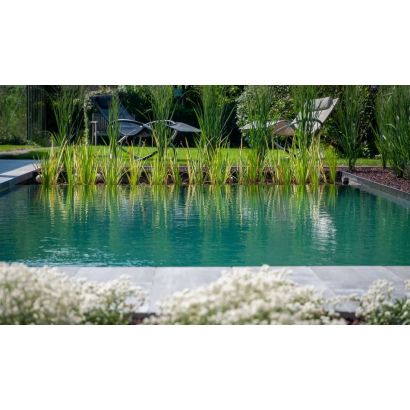 Groupe filtration piscine : TYPE IV : Limpide - Distripool