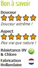 gazon-synthetique-jardin-raygrass-caracteristiques2