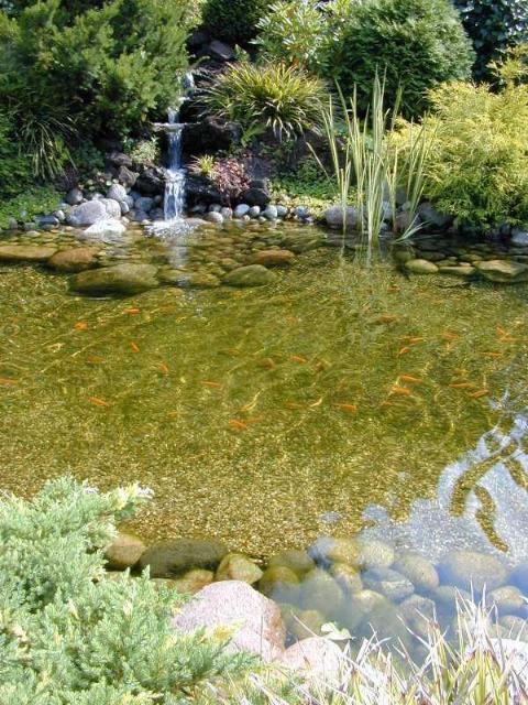 cascade-jardin-bassin-colorado-insitu