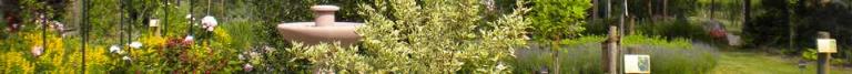 bandeau_jardin-medieval