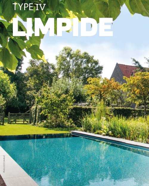 type piscine naturelle 4 - limpide