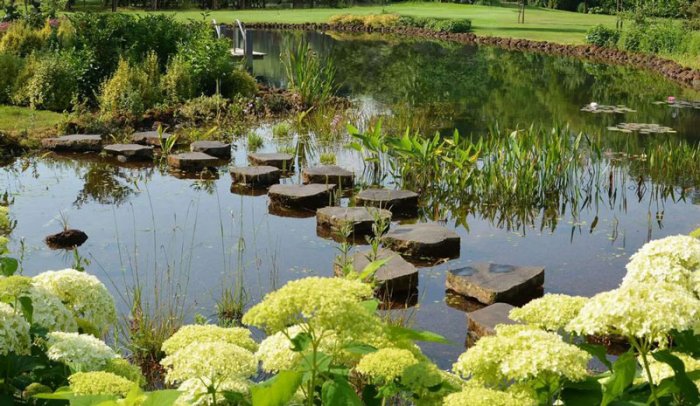 piscine-naturelle-TYPE-pure-nature